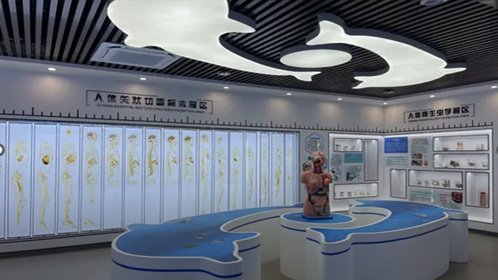 世界杯官方认证平台