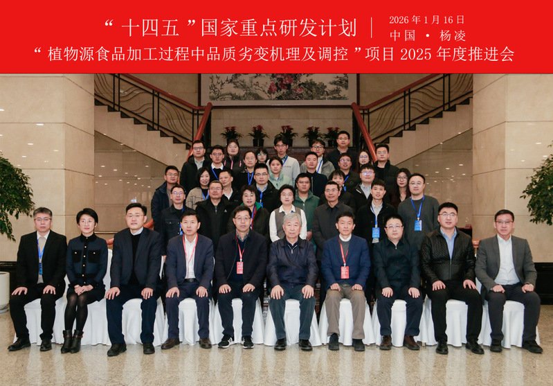粤ICP备 12087612号 继续